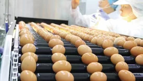 鹽城最新衛(wèi)星影像圖揭示時(shí)空變遷，一窺城市面貌變化