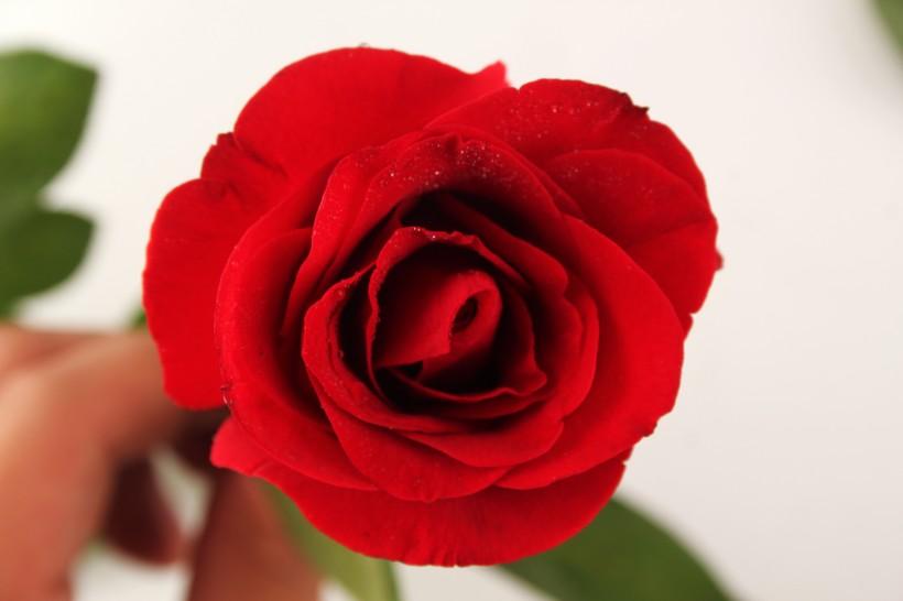 美國果8上市日期揭秘，最新動(dòng)態(tài)速遞??