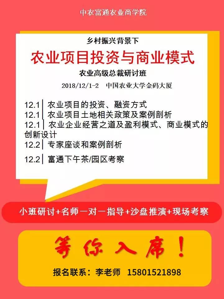 最新農(nóng)村項(xiàng)目投資，小巷深處的獨(dú)特風(fēng)味商機(jī)探索