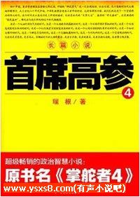 最新官場有聲小說，小巷深處的風(fēng)云錄