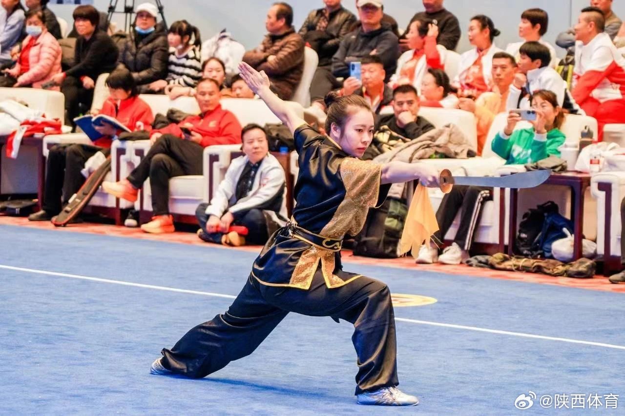 揭秘2025年武術(shù)比賽的精彩瞬間與背后故事