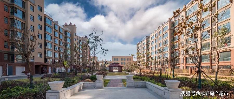 隆堯房產(chǎn)樓房熱銷背后的故事揭秘