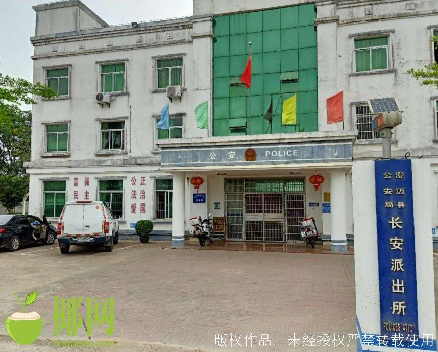 澄邁資訊快報，最新動態(tài)與資訊匯總??