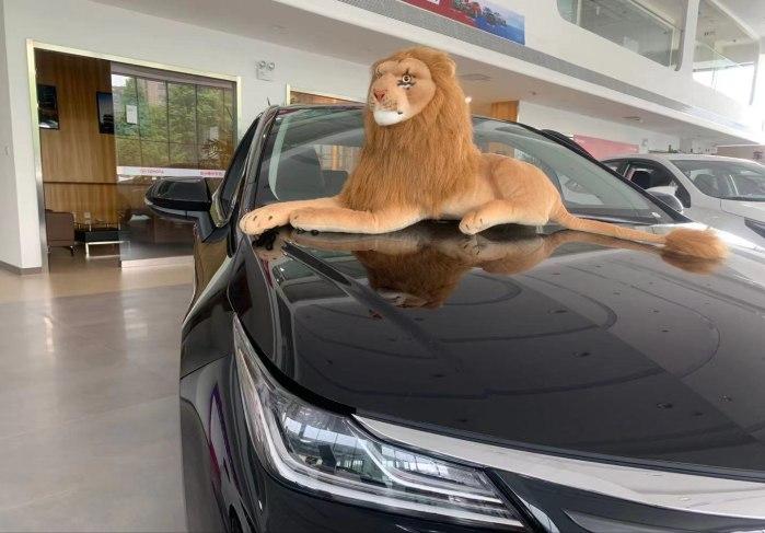 國際油價實時查詢步驟指南及最新油價信息速遞