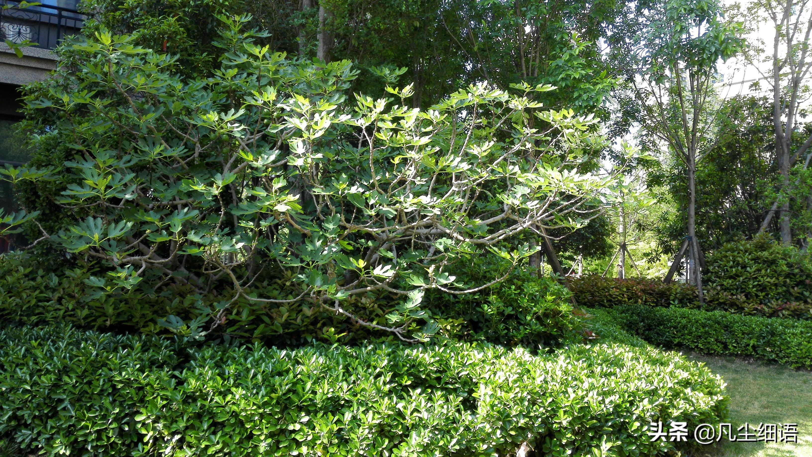 恒大名都周口最新房價動態(tài)，變化中的機遇，孕育自信與成就的種子