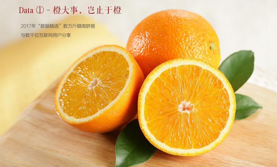 陽光下的黃金果實，新鮮橙子推薦