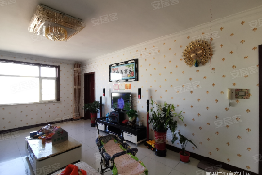 東光縣二手房資訊全覽，最新房源、市場動態(tài)與交易指南