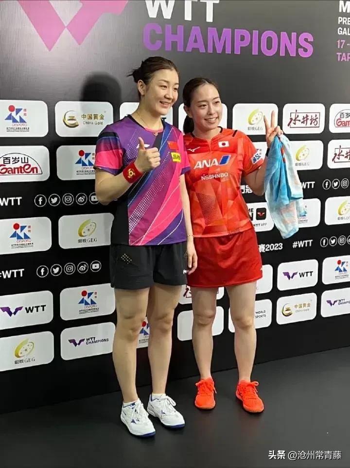 石川佳純比賽視頻深度解析，技術(shù)、風(fēng)格與全球影響力探討