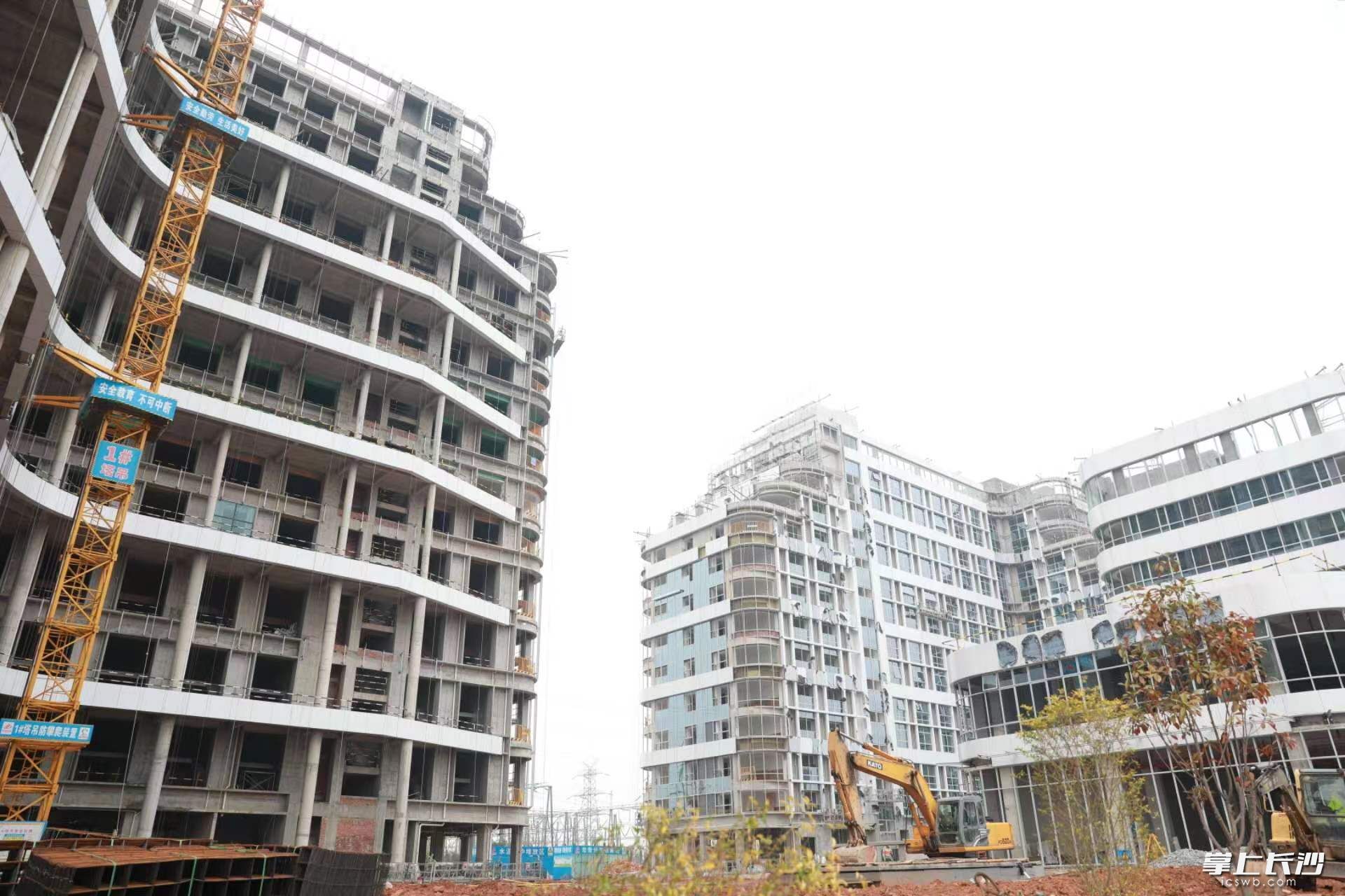 金陽最新住宅項目,金陽最新住宅項目，購房全流程指南