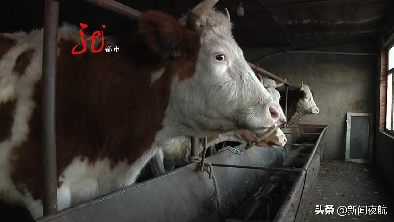 最新流產藥使用指南與步驟介紹