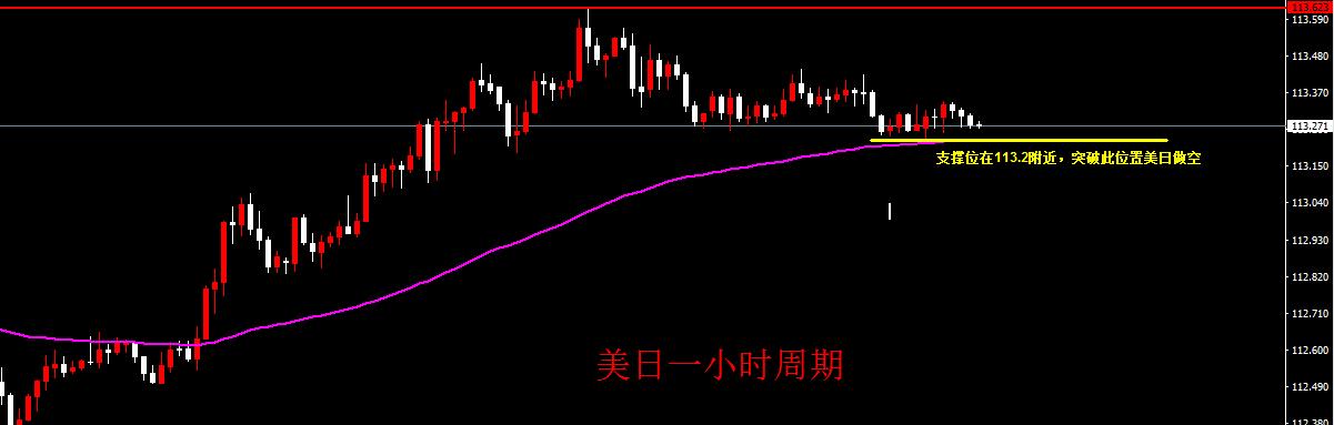 美日最新行情下的溫馨日常概覽