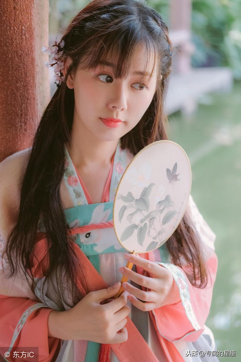 心動(dòng)小貓最新，自然美景探險(xiǎn)之旅的奇妙啟程