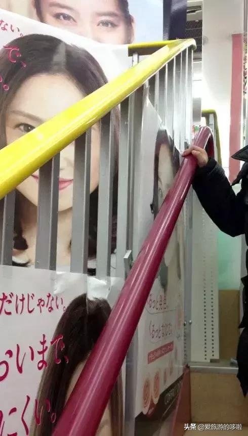 島國搬運(yùn)最新揭秘，探索未知的世界