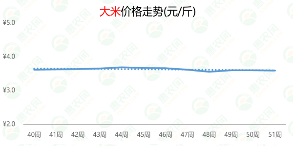 大米最新報(bào)價(jià)，開啟心靈平靜的稻米探索之旅