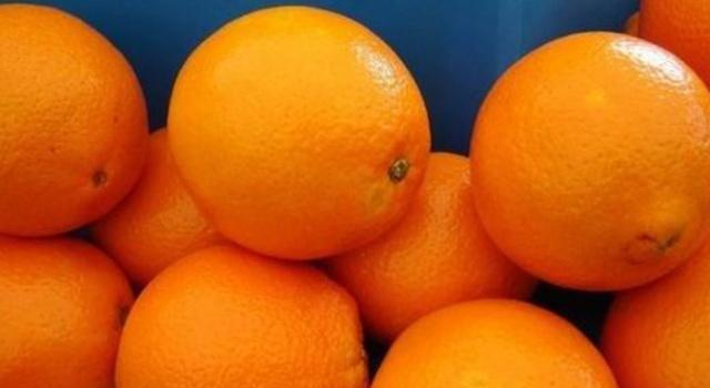 橙子最新價格，學習變化的力量與自信的果實成長之路