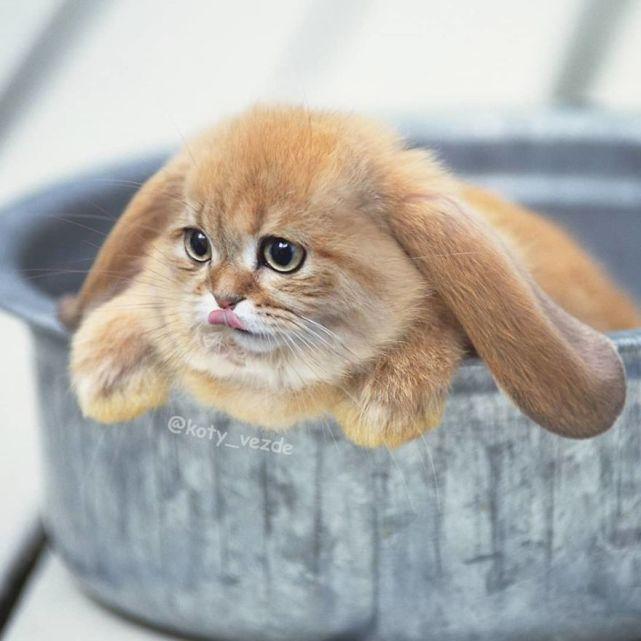 最新國外神曲，學(xué)習(xí)之旅中的自信與成就感的旋律