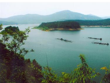 寶山湖最新動(dòng)態(tài)，生態(tài)發(fā)展與休閑交融勝地