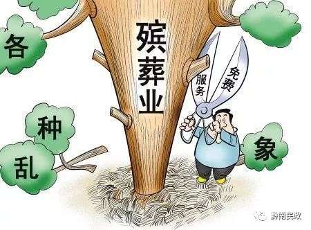 最新土葬政策，心靈與自然的融合之旅