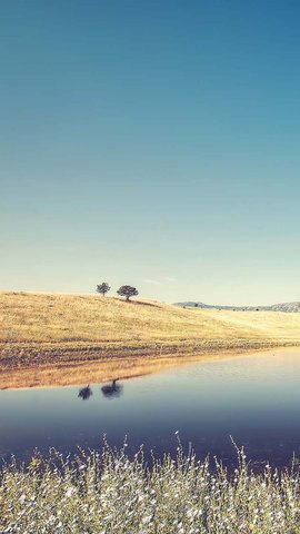 蘋果最新屏保，時代審美與科技創(chuàng)新的完美結(jié)合