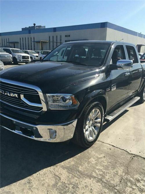 最新公羊報價及市場分析、品種特點與選購指南