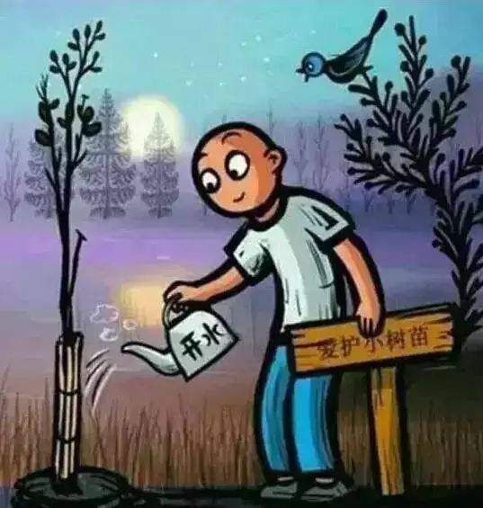 最新哲理圖片，學(xué)習(xí)與自信之光的蛻變