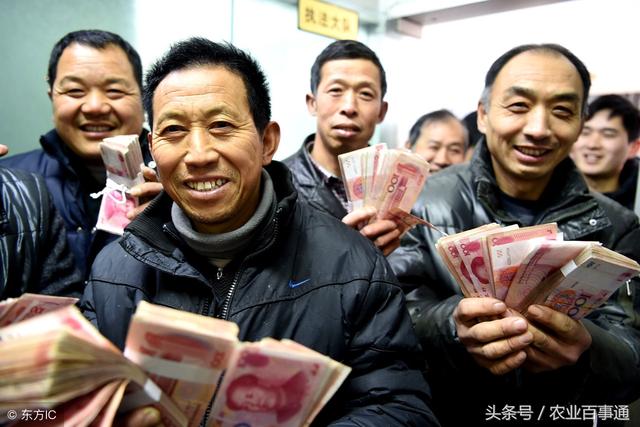 深化反腐行動，打擊貪污腐敗，共建廉潔社會新篇章