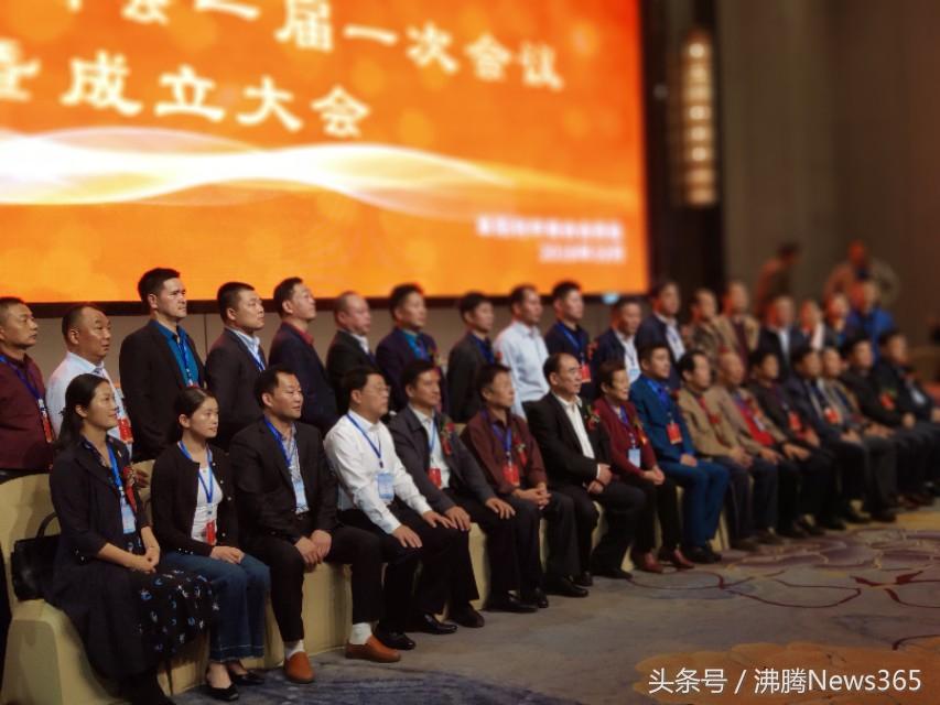 利辛最新新聞報道