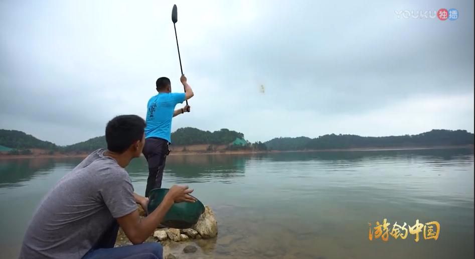 大毛釣魚最新視頻，垂釣界的璀璨明珠閃耀全網(wǎng)