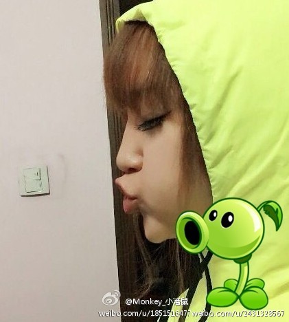 小潘鼠最新日常趣事揭秘