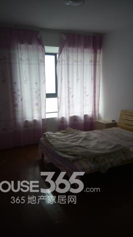 金寨租房最新信息，探尋小巷深處的獨(dú)特風(fēng)情，發(fā)現(xiàn)驚喜房源