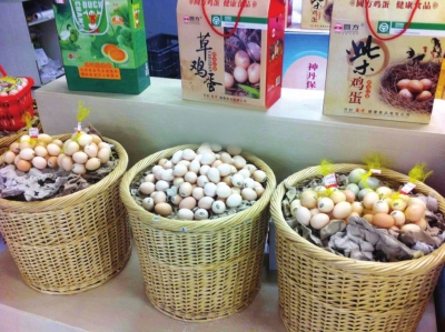 安陽雞蛋最新價(jià)格,安陽雞蛋最新價(jià)格，時代背景下的波瀾與變遷