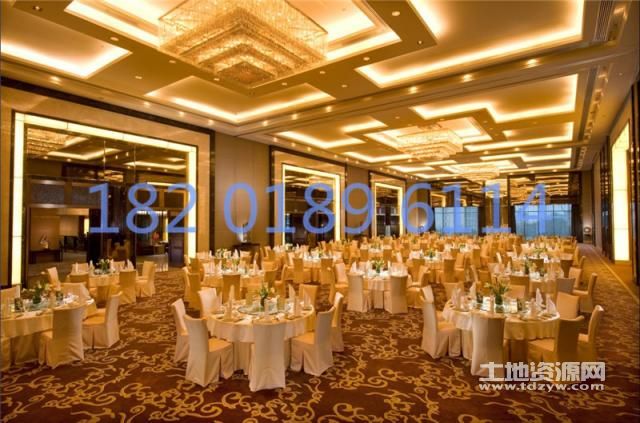 探尋上海飯店轉(zhuǎn)讓最新動態(tài)，商機與變遷同步更新