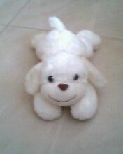 趴趴狗最新技術(shù)革新與應(yīng)用發(fā)展概覽