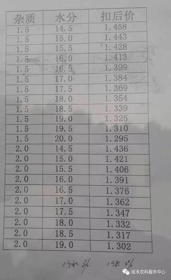 水稻最新價(jià)格動(dòng)態(tài)，小巷深處的稻米香與報(bào)價(jià)更新
