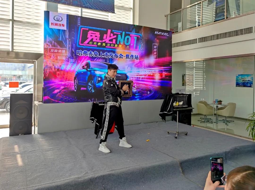 哈弗最新活動深度解析，影響與展望（附個人觀點）