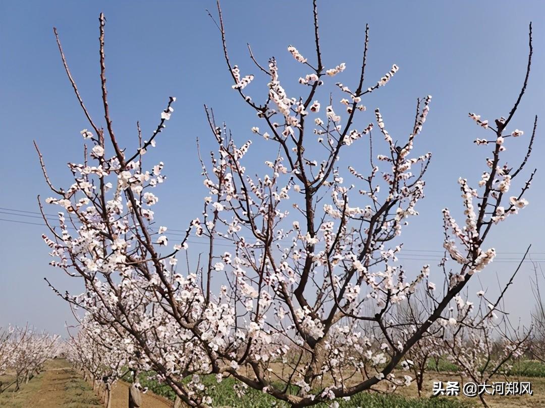 中牟最新新聞全攻略，獲取與閱讀步驟指南（適合初學(xué)者與進(jìn)階用戶）