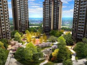 岳池最新樓盤市場熱度與個人立場考量分析