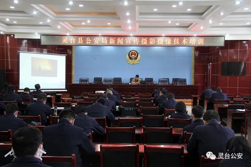 靈臺(tái)最新新聞報(bào)道