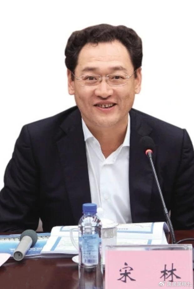 華潤宋林最新動態(tài)，學(xué)習(xí)成就自信與力量，展現(xiàn)變革中的領(lǐng)導(dǎo)力