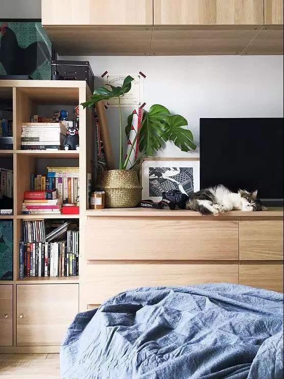 最新家裝資訊，打造時(shí)尚舒適居住環(huán)境的秘訣