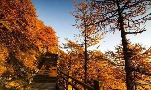 德哥最新視頻，時代回響與文化印記的交融展現(xiàn)