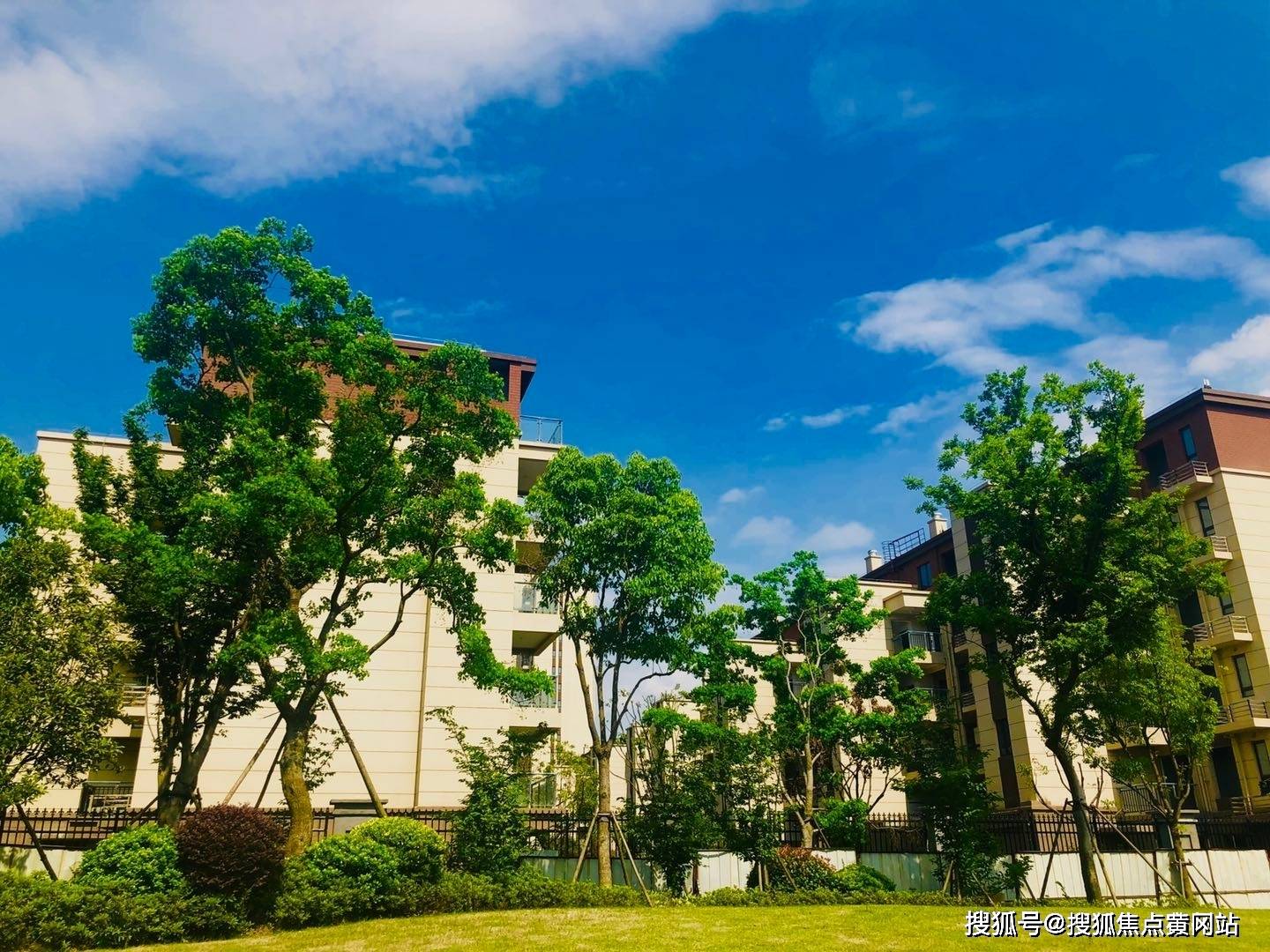 灤縣最新售樓信息，小巷深處的特色小店魅力探索