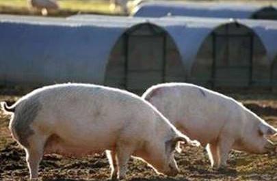 探索人體奧秘的全方位平臺，最新人體網(wǎng)