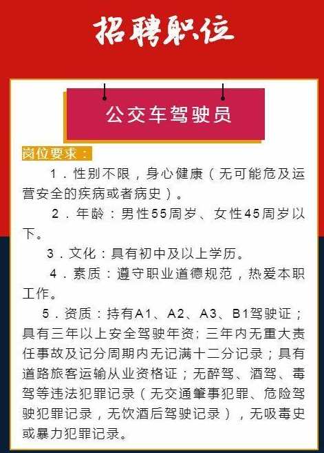 肇慶最新司機(jī)招聘啟事，共赴自然之旅，探尋內(nèi)心寧?kù)o