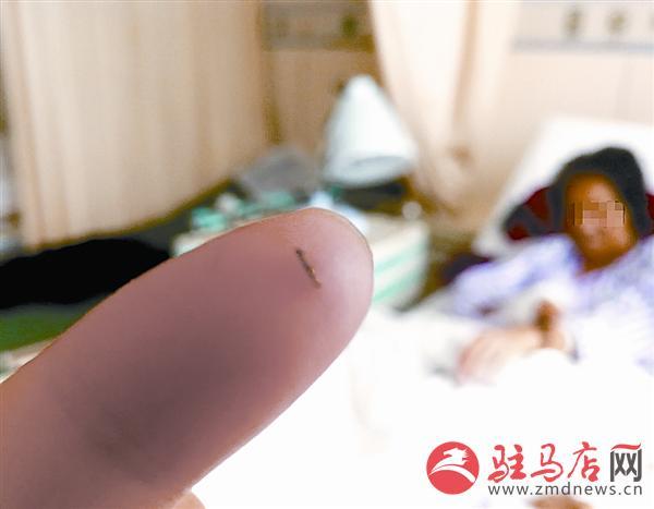 陳思妤最新旅程，探索自然美景，尋覓內(nèi)心平和之旅