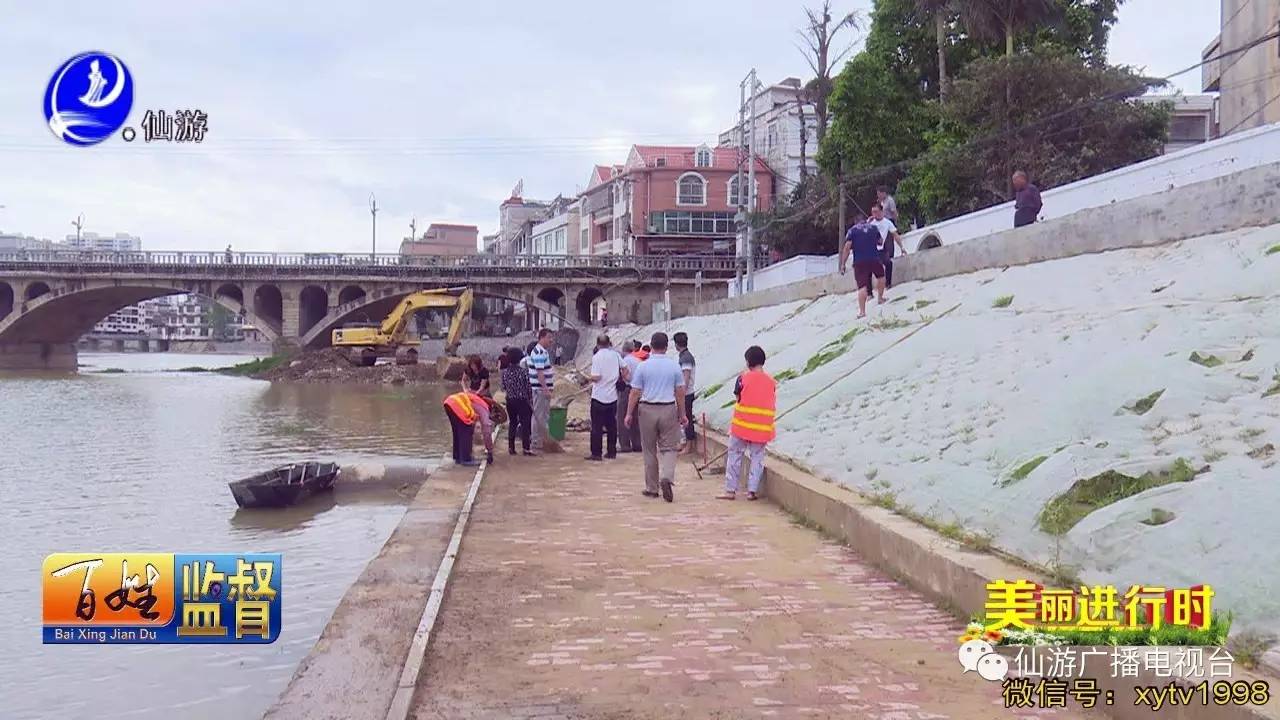 楓亭最新資訊，掌握楓亭最新聞動態(tài)