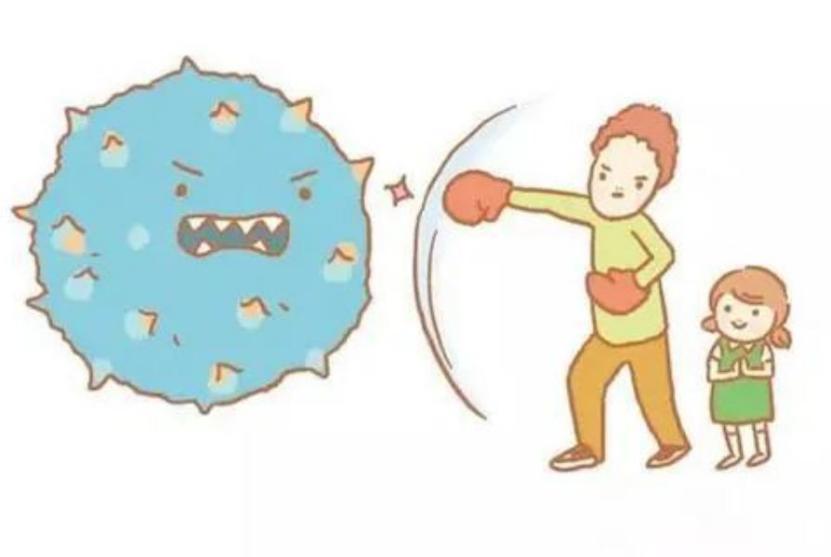 最新病毒諾的防范與應(yīng)對(duì)指南，初學(xué)者到進(jìn)階用戶的必備知識(shí)