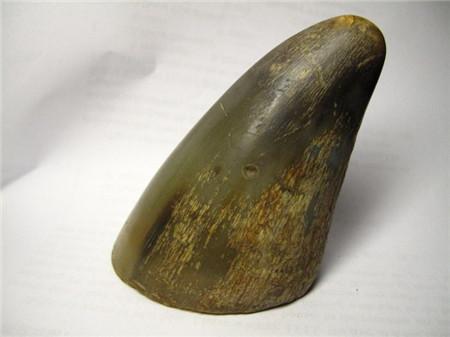 科技重塑生活，犀角引領(lǐng)未來，揭秘最新犀角價(jià)格動態(tài)