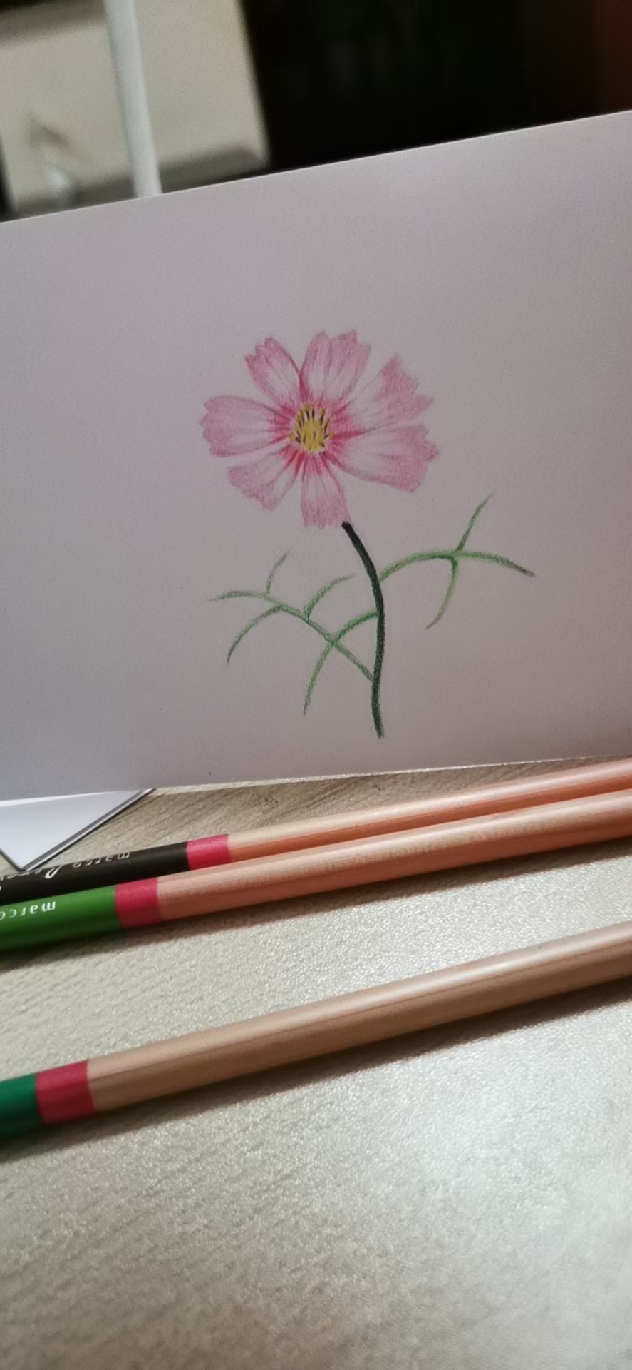 最新彩鉛畫，背景、發(fā)展、影響與地位的全面解析