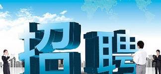 武強(qiáng)最新招聘，求職全步驟指南詳解